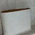 تمر