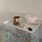 قفص مع ملحقاته (سناجب هامستر طيور