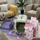 اغرض للقطه