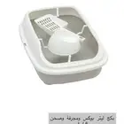 قطط