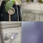 اجوز منتجه 3