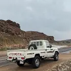 جيب شاص للتقبيل او البيع