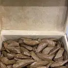 عرض نصف كيلو مروكي محسن سوبر مرتفع بسعر مغري