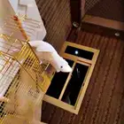 الدوادمي