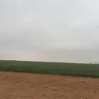 مز ر عه أيجار