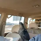 مطلوب ارض تجاريه صناعيه في حزم الجلاميد