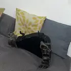 ثلاجه وثروتر انفنتي للاندكروزر