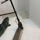 سكوتر