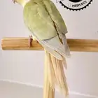 كنيور مون شيك اليف وهدد داخلي