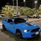 كبوت موستنق 2014