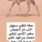 للبيع ضرايب عجوم سلاله وشكل