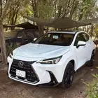 لكزس NX350 2026 ممشى (474 كيلو فقط) شبة اصفار