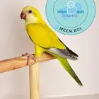 كويكر كورس اوفر اليف وهدد داخلي