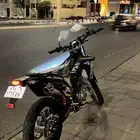 دباب صحراوي