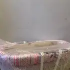 سله موسى و عربيه اطفال