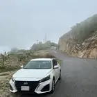 التيما للتقبيل او البدل بشاص