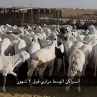 سواكني مرابي