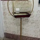 قفص