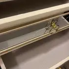 طاوله كومدينه جديده ثنتين