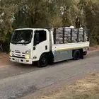 دينا نقل تمر