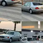 القطيف