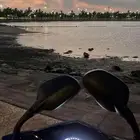 دباب العجيب 2025