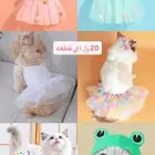 مستلزمات قطط