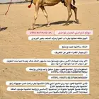 خلفه ضغط عالي جاهزه المناخ وبنتها جاهزه لا تدريب