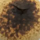 خمير لذيذ بطريقه الحضرميه