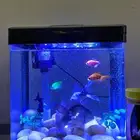 Aquarium