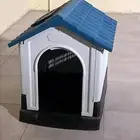 بيت للقطط والكلاب