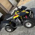 القطيف