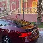 مكسيما ( شرط - تم البيع )