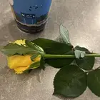 ورد هدايا محل ورد حدائق مناسبات