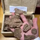 عود طبيعي فتنامي تشار نكه عطريه زعفرانيه
