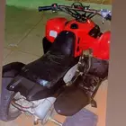 دباب تايواني نظيف