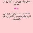 كيتنز للبيع انتاج ام سكوتش واب همالايا
