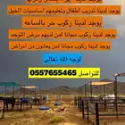تدريب خيل