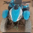 دباب