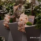 تاجير مونيكان طقم شبكه او دزه او ملكه