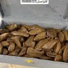 عود مروكي محسن