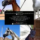 حلاقة جمال