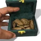 مروكي محسن