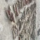 حطب سمر