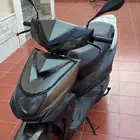 دباب بطة