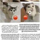 مفقود على من يجده الاتصال ويوجد جائزه ماليه