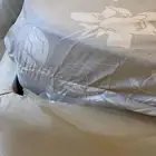 اثاث