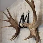 قرون أبل طبيعية