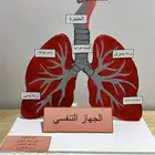 نعين ونعاون معاكم دايم