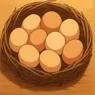 بيض دجاج تركي